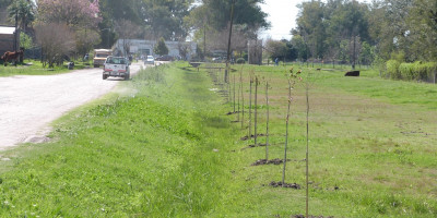 Continúan los trabajos en Camino Rurales