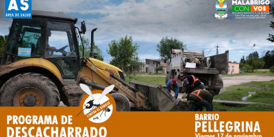 Descacharrado en Barrio Pellegrina