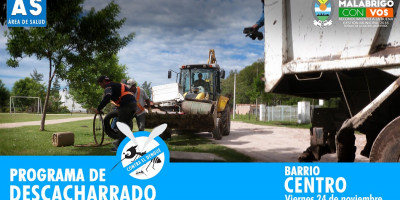 Descacharrado en Barrio Centro