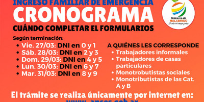 ingreso familiar de emergencia