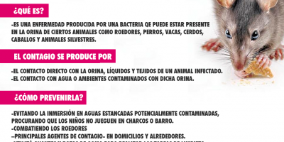 Leptospirosis y Alacranes: Como prevenirnos y actuar