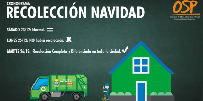 Cronograma de Recolección de Residuos