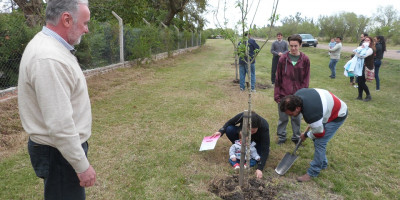 Este viernes se realizará Un Niño, Un Árbol