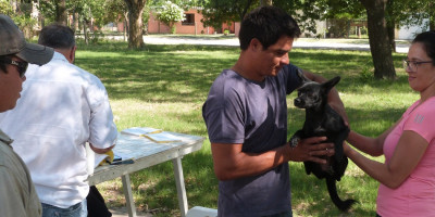 Continúa la Vacunación Antirrábica Gratuita