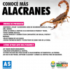 Leptospirosis y Alacranes: Como prevenirnos y actuar