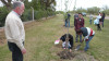 Este viernes se realizará Un Niño, Un Árbol